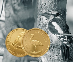 Heimische Vögel