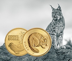 Rückkehr der Wildtiere