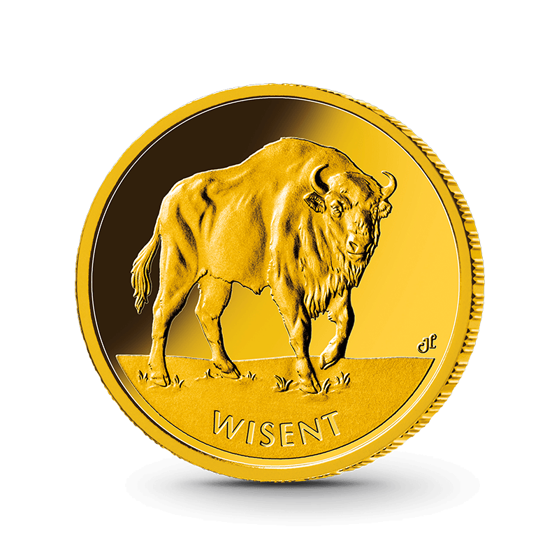 Bild Vorderseite Wisent