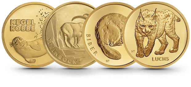 Vier Goldmünzen der Serie „Rückkehr der Wildtiere“ aus den Jahrgängen 2022 bis 2025 mit den Motiven Kegelrobbe, Steinbock, Biber und Luchs