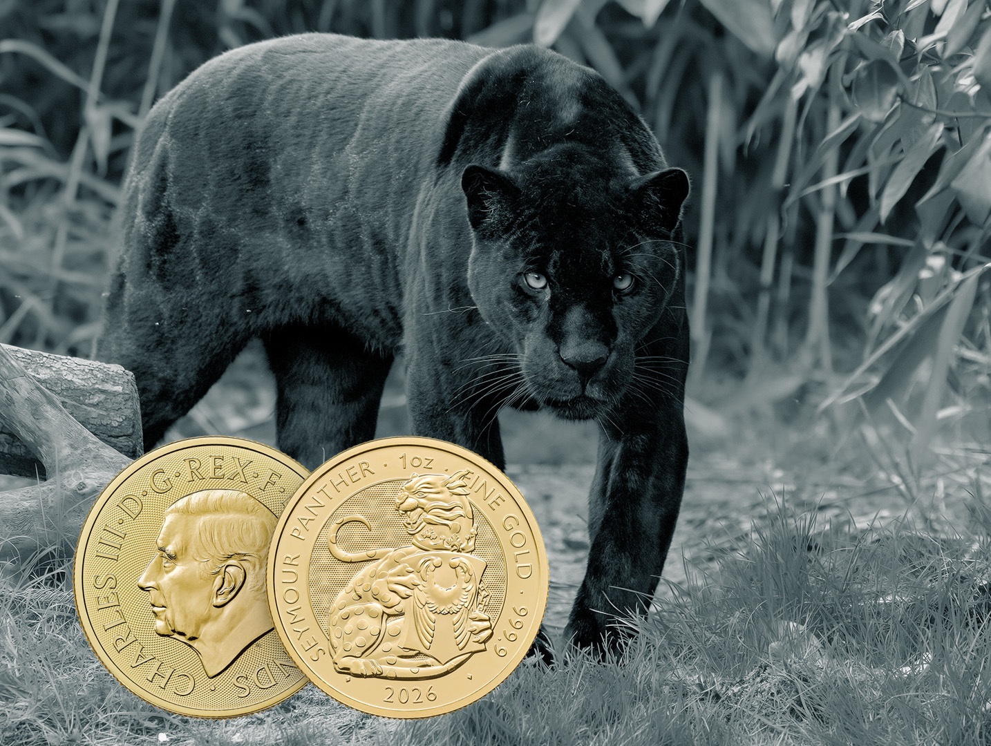 Seymour Panther Münze